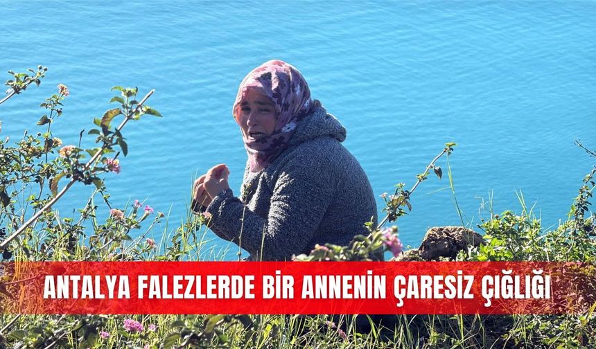 Antalya falezlerde bir annenin çaresiz çığlığı