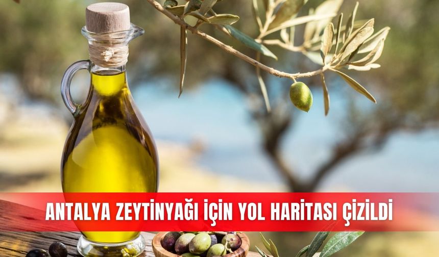 Antalya zeytinyağı için yol haritası çizildi
