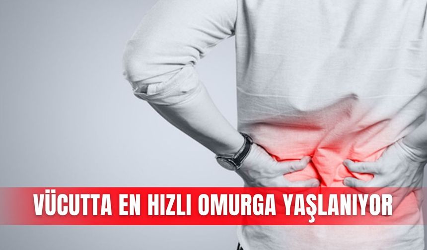 Vücutta en hızlı omurga yaşlanıyor