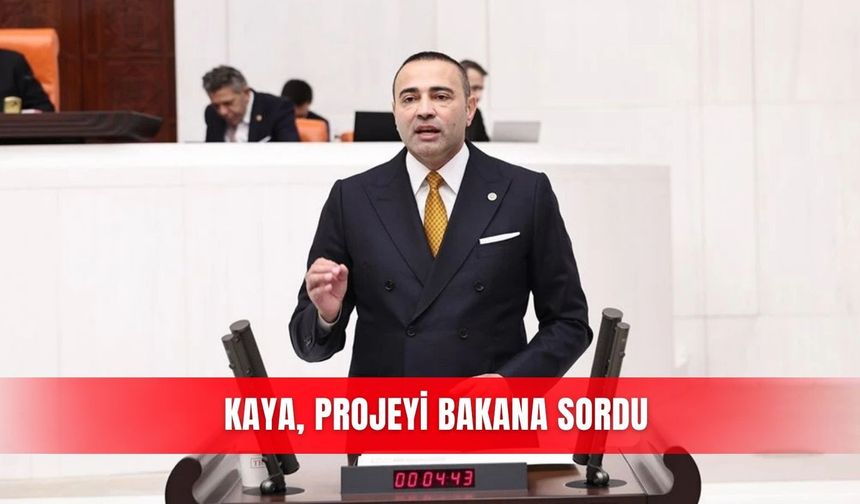 Kaya, projeyi Bakana sordu