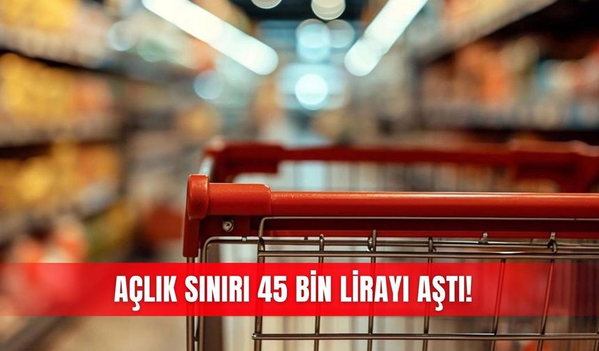 Açlık sınırı 45 bin lirayı aştı!