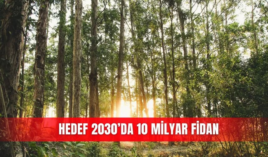 Hedef 2030’da 10 milyar fidan