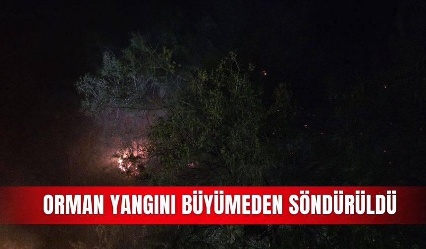 Orman yangını büyümeden söndürüldü