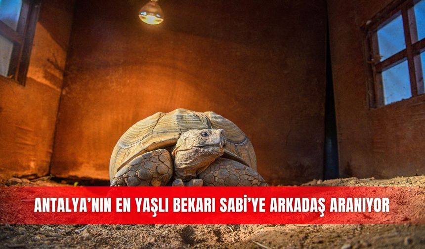 Antalya’nın en yaşlı bekarı Sabi’ye arkadaş aranıyor