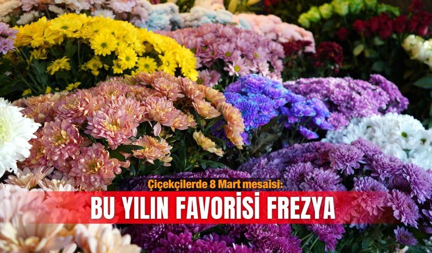 Çiçekçilerde 8 Mart mesaisi: Bu yılın favorisi frezya