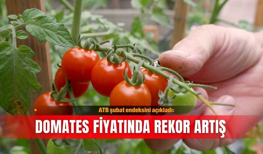 ATB şubat endeksini açıkladı: Domates fiyatında rekor artış