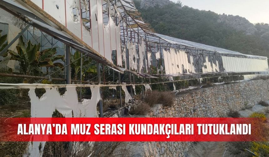 Alanya’da muz serası kundakçıları tutuklandı
