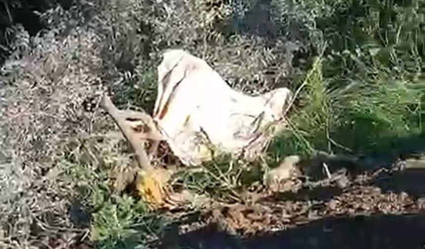 Şarampole devrilen kamyonun şoförü öldü