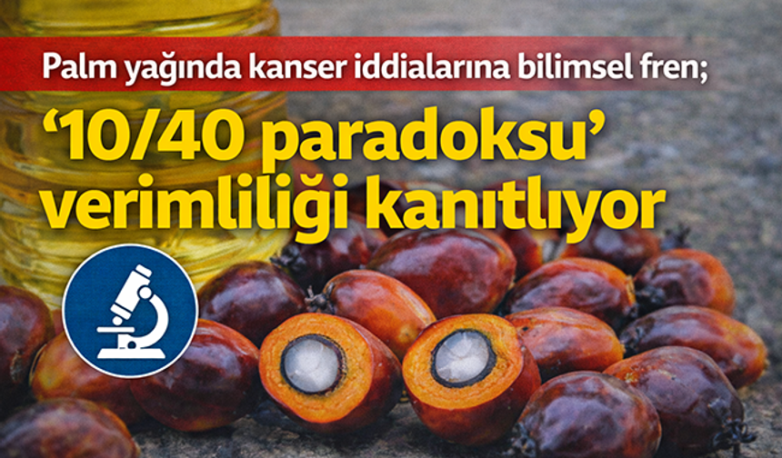 Palm yağında kanser iddialarına bilimsel fren; ‘10/40 paradoksu’ verimliliği kanıtlıyor
