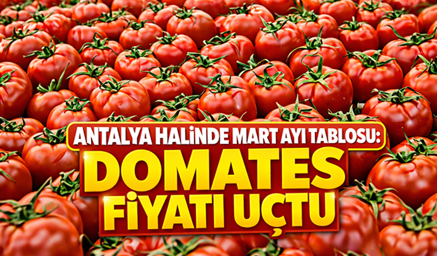 Antalya halinde mart ayı tablosu: Domates fiyatı uçtu