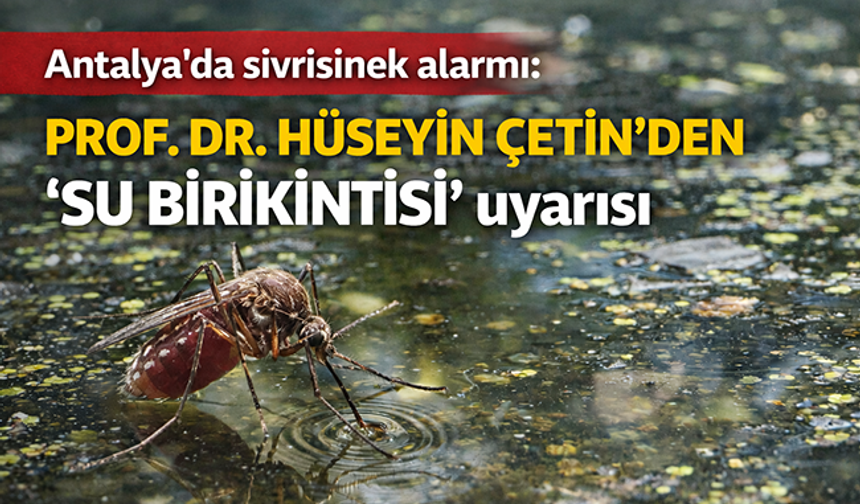 Antalya’da sivrisinek alarmı: Prof. Dr. Hüseyin Çetin’den "su birikintisi" uyarısı