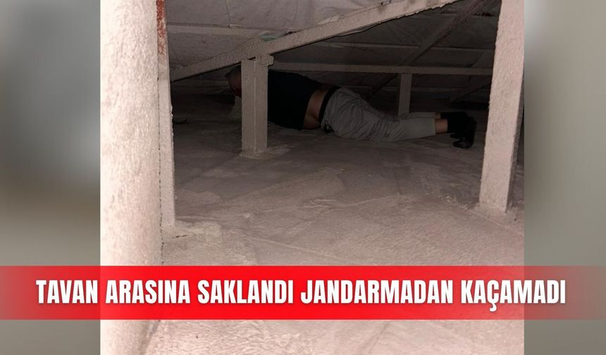Tavan arasına saklandı jandarmadan kaçamadı