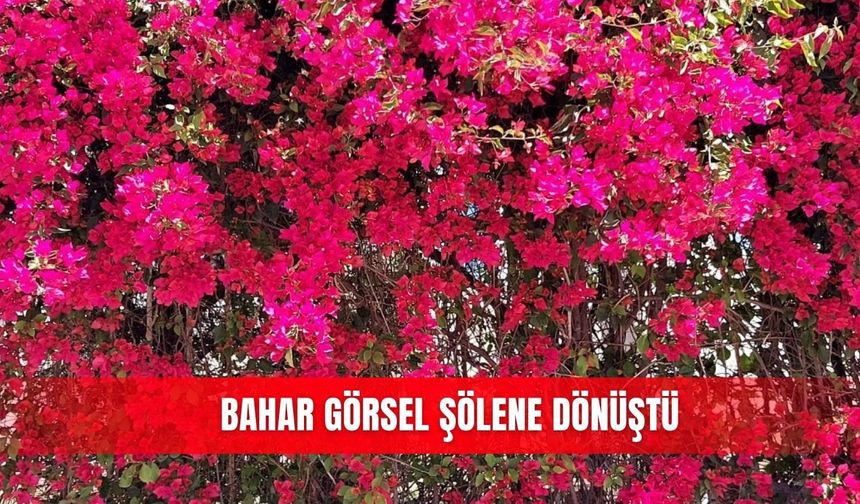Bahar görsel şölene dönüştü