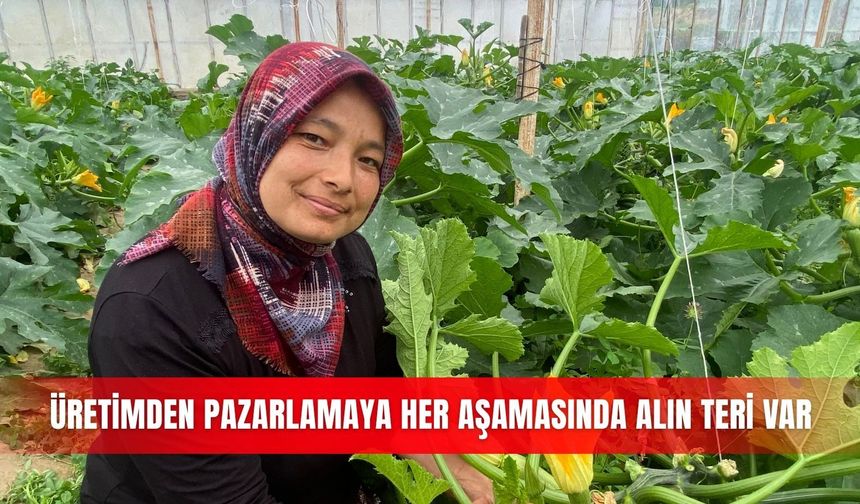 Üretimden pazarlamaya her aşamasında alın teri var