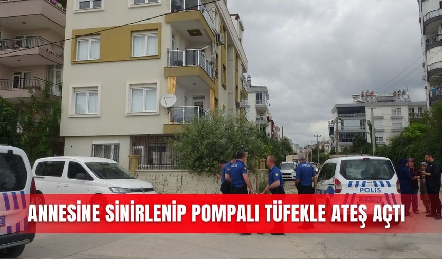 Annesine sinirlenip pompalı tüfekle ateş açtı
