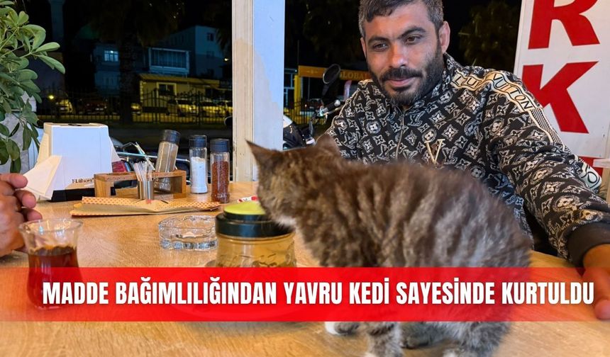 Madde bağımlılığından yavru kedi sayesinde kurtuldu