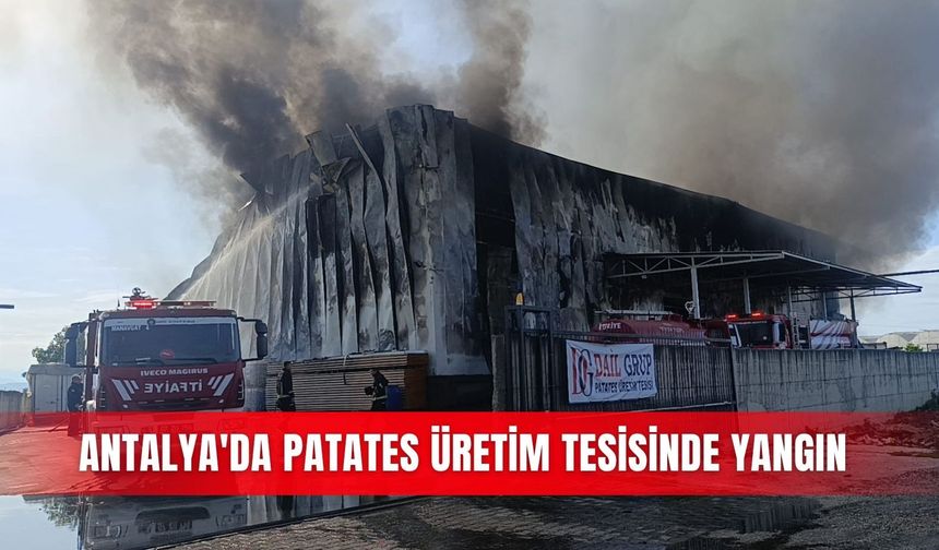 Antalya'da patates üretim tesisinde yangın