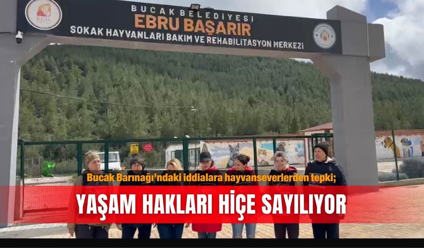 Bucak Barınağı’ndaki iddialara hayvanseverlerden tepki; Yaşam hakları hiçe sayılıyor