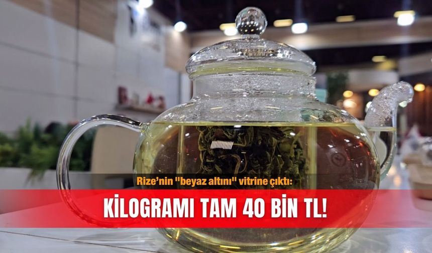 Rize’nin "beyaz altını" vitrine çıktı: Kilogramı tam 40 bin TL!