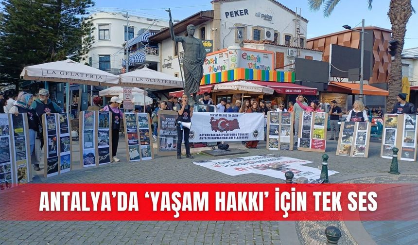 Antalya’da ‘yaşam hakkı’ için tek ses