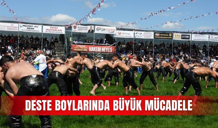 Deste boylarında büyük mücadele