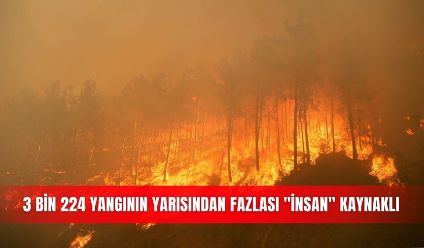 3 bin 224 yangının yarısından fazlası "insan" kaynaklı