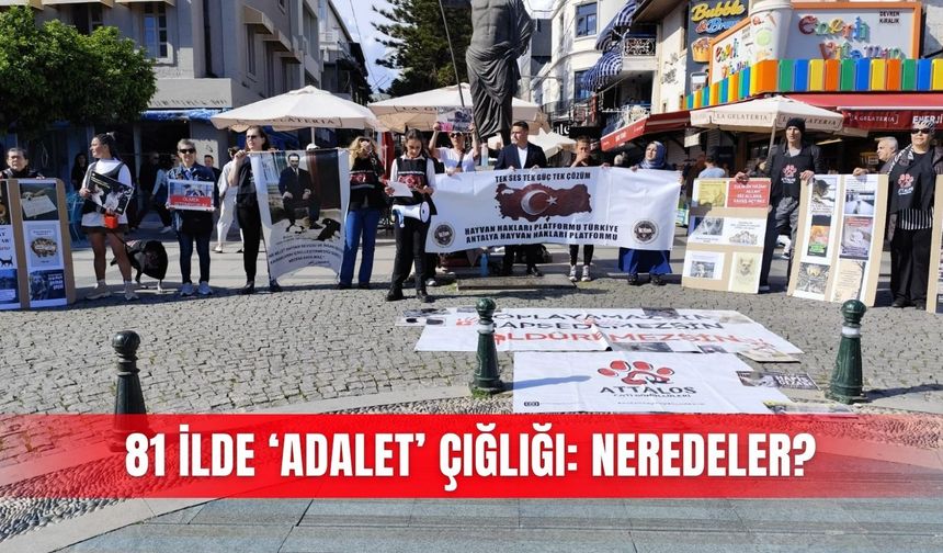 81 ilde ‘Adalet’ çığlığı: Neredeler?