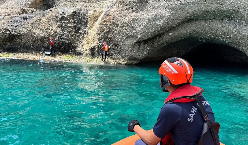 Antalya'da Akdeniz foklarının yeni yaşam alanı keşfedildi