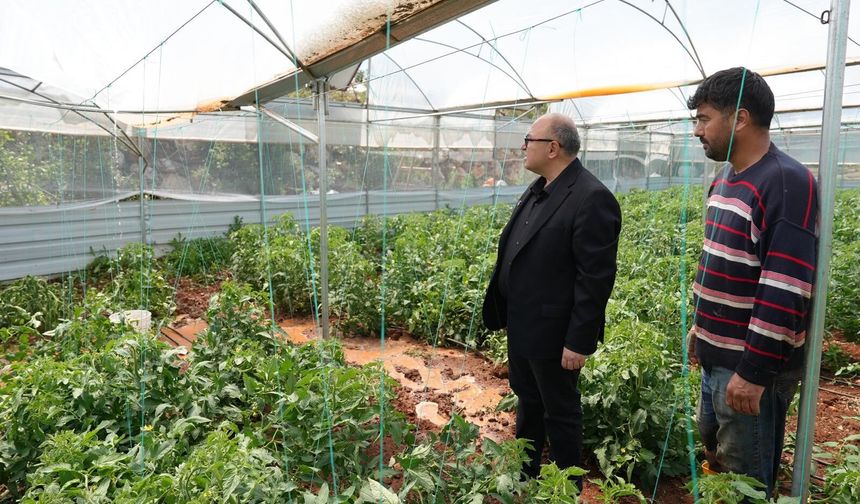 Mersin'de dolu tarım alanlarına zarar verdi
