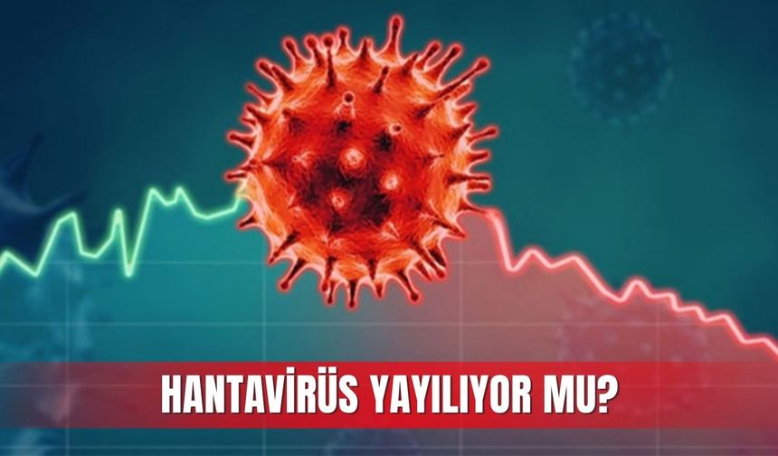 DSÖ: 8 vakanın 5'inin hantavirüs olduğu teyit edildi