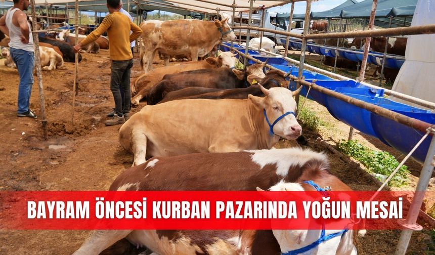Bayram öncesi kurban pazarında yoğun mesai