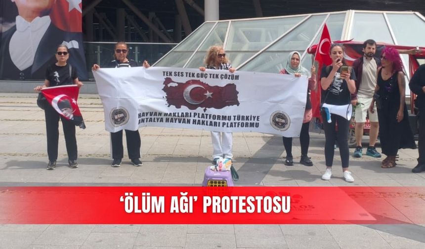 'Ölüm ağı' Protestosu