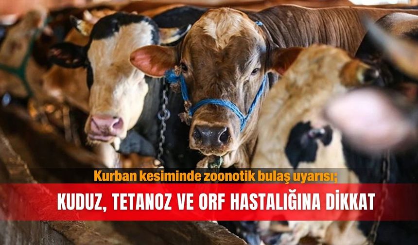 Kurban kesiminde zoonotik bulaş uyarısı; kuduz, tetanoz ve orf hastalığına dikkat