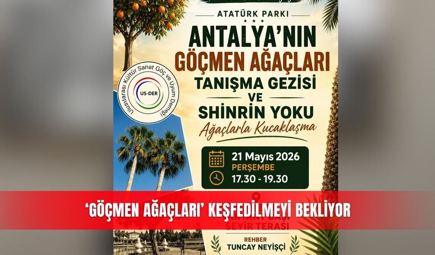 ‘Göçmen Ağaçları’ keşfedilmeyi bekliyor