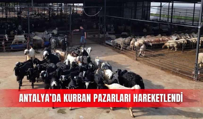 Antalya’da kurban pazarları hareketlendi
