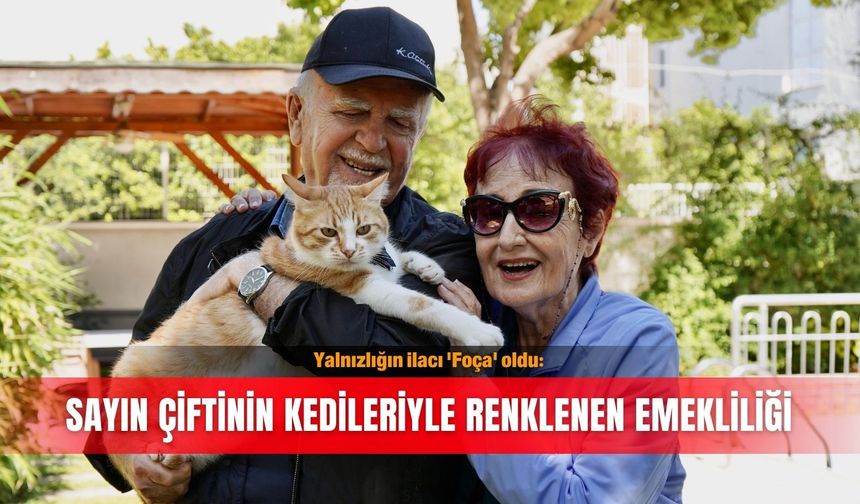 Yalnızlığın ilacı 'Foça' oldu: Sayın çiftinin kedileriyle renklenen emekliliği
