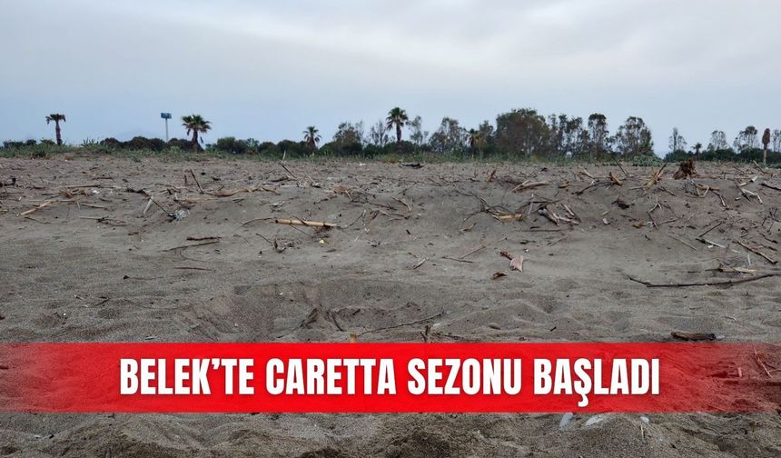 Belek’te caretta sezonu başladı