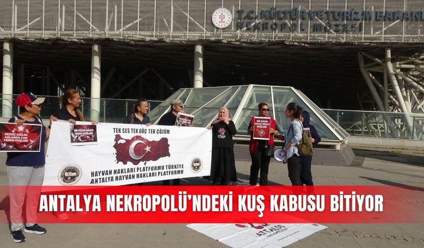 Antalya Nekropolü’ndeki kuş kabusu bitiyor