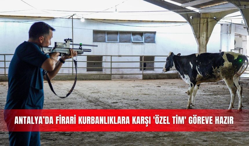 Antalya’da firari kurbanlıklara karşı 'özel tim' göreve hazır