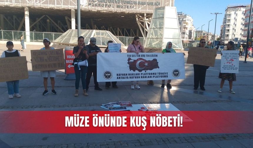 Müze önünde kuş nöbeti!