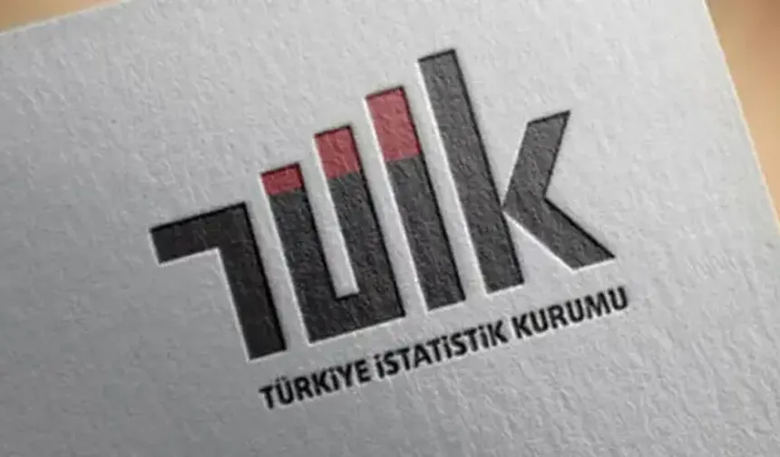 TÜİK: En fazla pay konut ve kira harcamalarının
