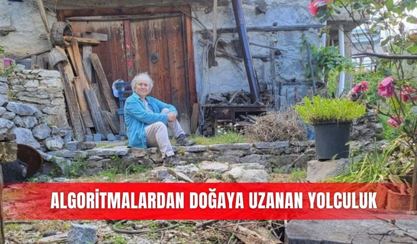Algoritmalardan doğaya uzanan yolculuk