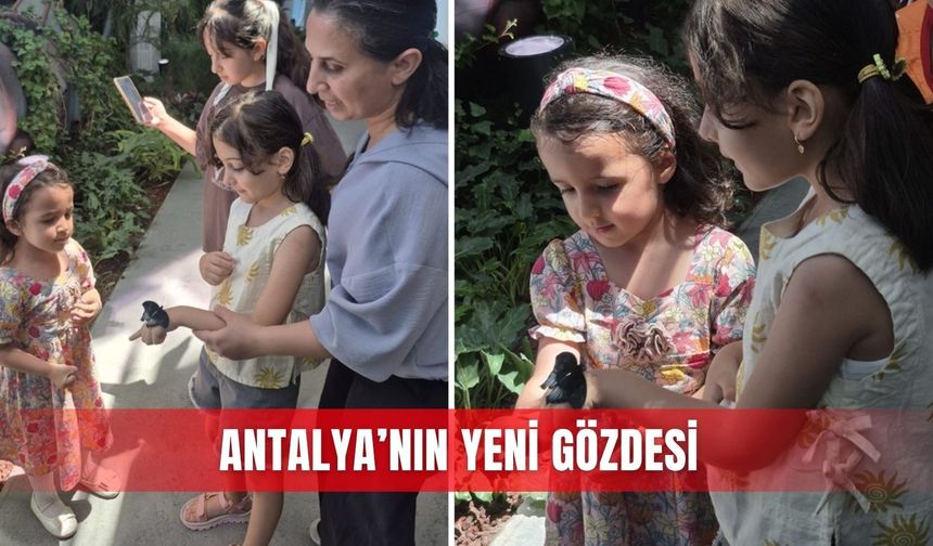 Antalya’nın yeni gözdesi