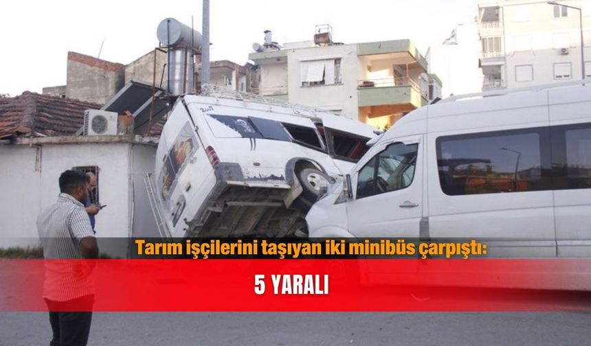 Tarım işçilerini taşıyan iki minibüs çarpıştı: 5 yaralı
