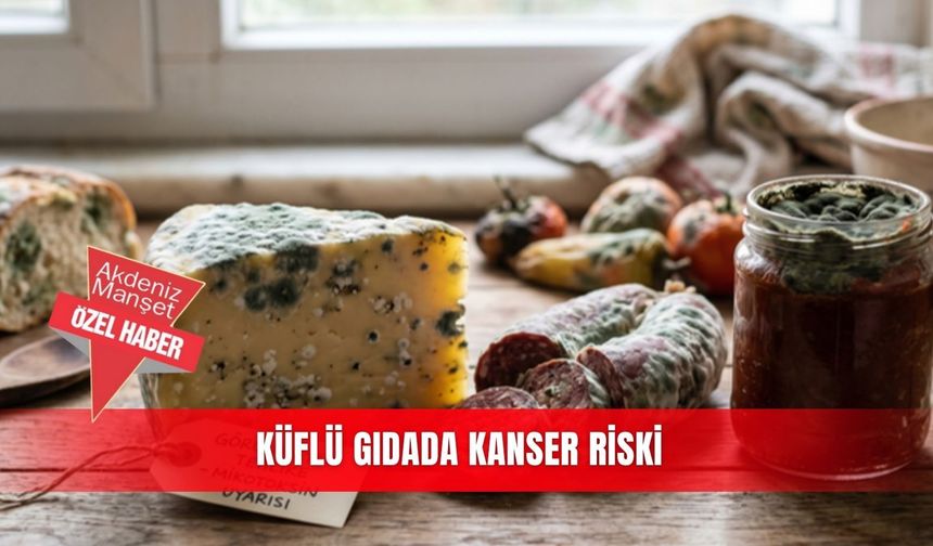 Küflü gıdada kanser riski
