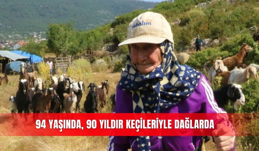 94 yaşında, 90 yıldır keçileriyle dağlarda
