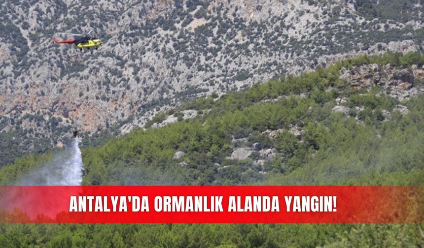 Antalya'da ormanlık alanda yangın!