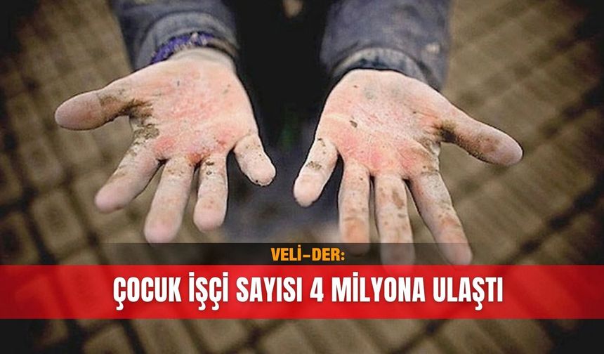 VELİ-DER: Çocuk işçi sayısı 4 milyona ulaştı