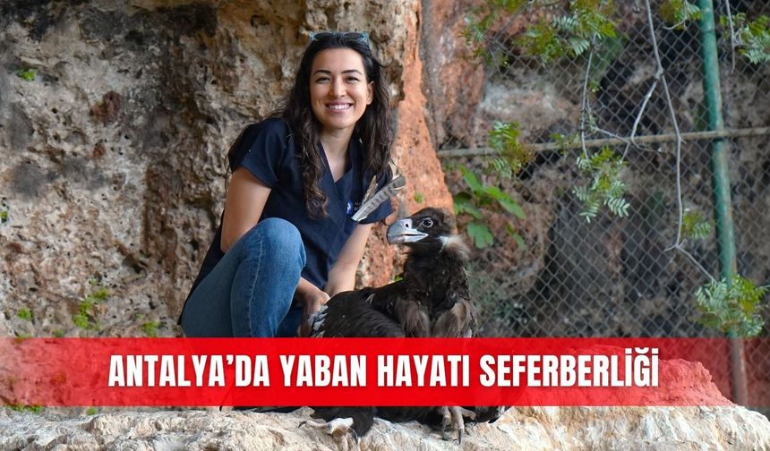 Antalya’da yaban hayatı seferberliği