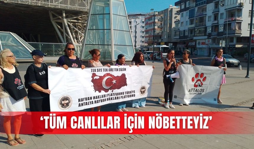 ‘Tüm canlılar için nöbetteyiz’